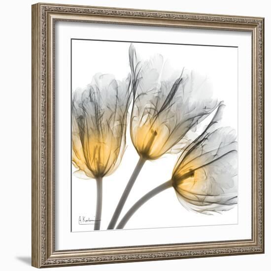 Explosive Growth-Albert Koetsier-Framed Art Print