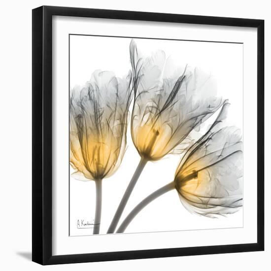 Explosive Growth-Albert Koetsier-Framed Art Print