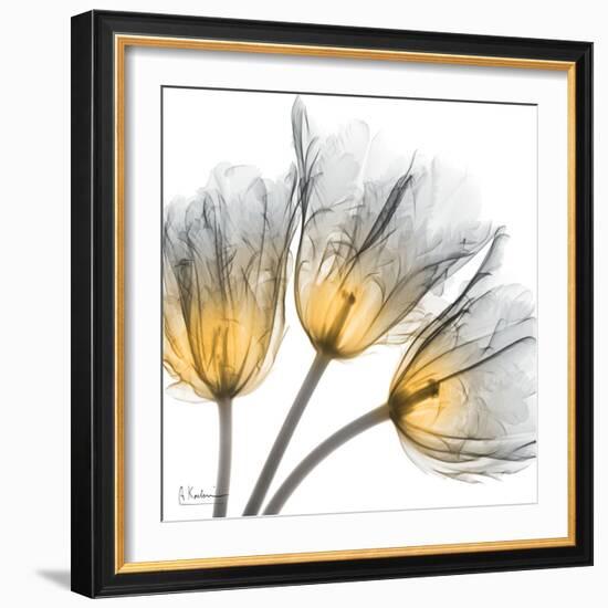 Explosive Growth-Albert Koetsier-Framed Art Print