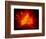 Explosive Vent on the North Side of the Montagnola, Mt. Etna, Sicily, Italy-Daisy Gilardini-Framed Photographic Print