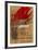 Expo 77 - Museu de Granollers-Antoni Tapies-Framed Collectable Print