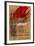 Expo 77 - Museu de Granollers-Antoni Tapies-Framed Collectable Print