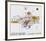 Expo Galerie Maeght 70-Saul Steinberg-Framed Collectable Print