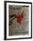 Expo Galerie Maeght 79-Antoni Tapies-Framed Collectable Print