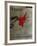 Expo Galerie Maeght 79-Antoni Tapies-Framed Collectable Print