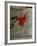 Expo Galerie Maeght 79-Antoni Tapies-Framed Collectable Print