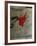 Expo Galerie Maeght 79-Antoni Tapies-Framed Collectable Print