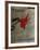 Expo Galerie Maeght 79-Antoni Tapies-Framed Collectable Print