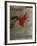 Expo Galerie Maeght 79-Antoni Tapies-Framed Collectable Print