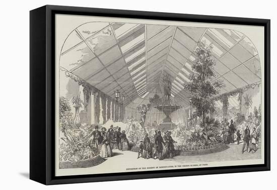 Exposition of the Society of Horticulture, in the Champs Elysees, at Paris-null-Framed Premier Image Canvas