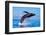 Exposive Breach of a Humpback Whale in Lahaina on Maui.-Manuel Balesteri-Framed Photographic Print