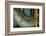 Express Lines-Dana Styber-Framed Photographic Print