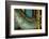 Express Lines-Dana Styber-Framed Photographic Print