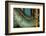 Express Lines-Dana Styber-Framed Photographic Print