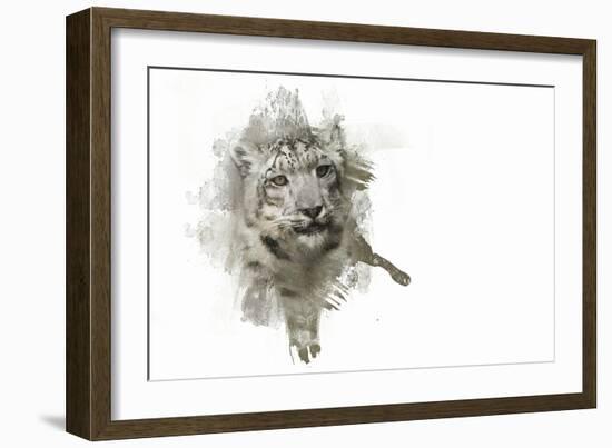 Expressions Snow Leopard-Jai Johnson-Framed Giclee Print