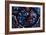 Expulsion from Eden, Stained Glass, Chartres Cathedral, France, 1205-1215-null-Framed Photographic Print