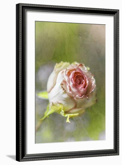 Exquisite Pink-Viviane Fedieu Daniel-Framed Photographic Print