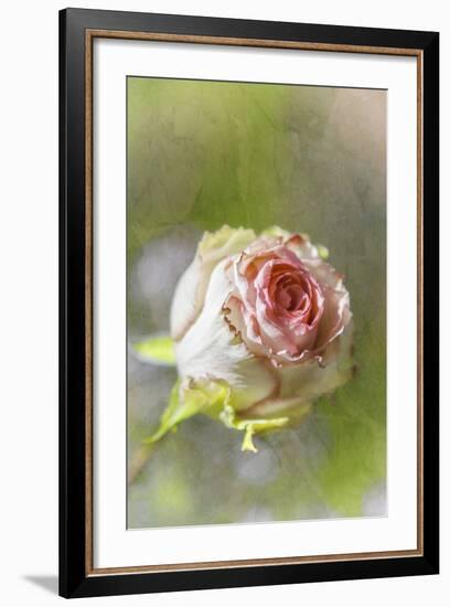 Exquisite Pink-Viviane Fedieu Daniel-Framed Photographic Print