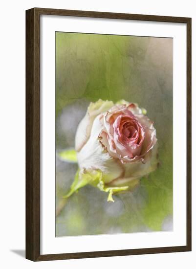 Exquisite Pink-Viviane Fedieu Daniel-Framed Photographic Print