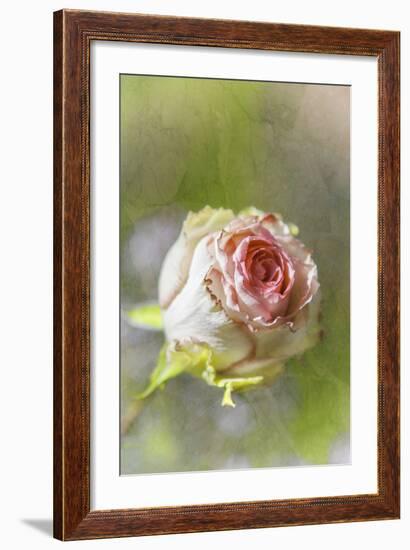 Exquisite Pink-Viviane Fedieu Daniel-Framed Photographic Print