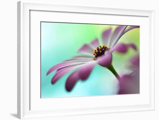 Extending In The Morning Light II-Heidi Westum-Framed Photographic Print