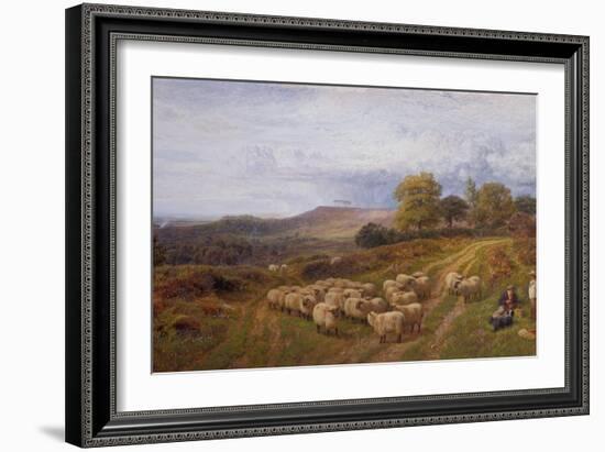 Extensive Landscape with a Shepherd and his Flock of Sheep, Surrey-George Shalders-Framed Giclee Print