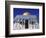 Exterior and Front View of Dome of the Rock-Jim Zuckerman-Framed Photographic Print