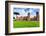 Exterior, Baths of Caracalla, UNESCO World Heritage Site, Rome, Latium (Lazio), Italy, Europe-Nico Tondini-Framed Photographic Print