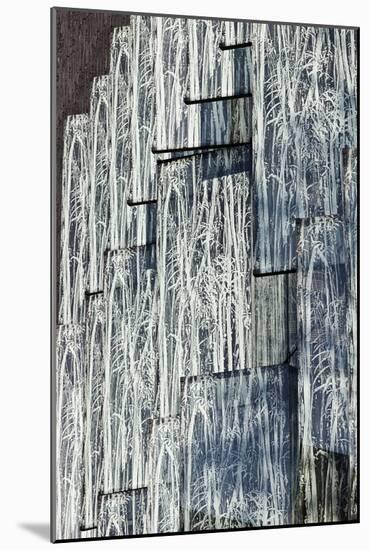Exterior Detail of Grey Glass Panels Imprinted with Willow Branches Pattern-Julian Castle-Mounted Photo
