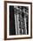 Exterior Detail of the Potter Building-Karen Tweedy-Holmes-Framed Photographic Print