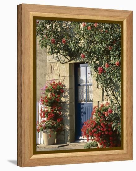 Exterior of a Blue Door Surrounded by Red Flowers, Roses and Geraniums, St. Cado, Brittany, France-Ruth Tomlinson-Framed Premier Image Canvas