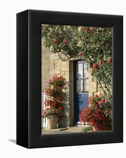 Exterior of a Blue Door Surrounded by Red Flowers, Roses and Geraniums, St. Cado, Brittany, France-Ruth Tomlinson-Framed Premier Image Canvas