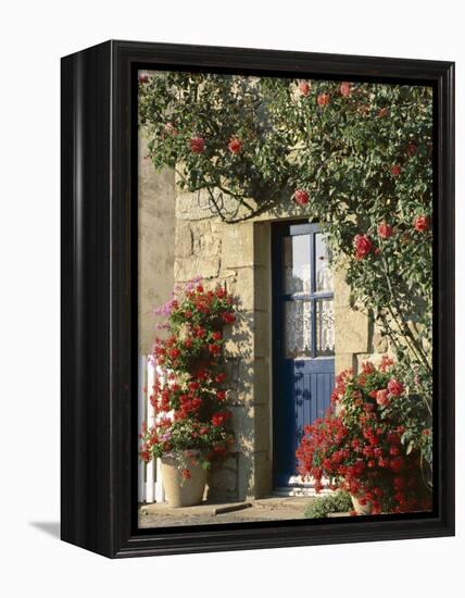 Exterior of a Blue Door Surrounded by Red Flowers, Roses and Geraniums, St. Cado, Brittany, France-Ruth Tomlinson-Framed Premier Image Canvas