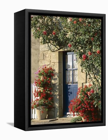 Exterior of a Blue Door Surrounded by Red Flowers, Roses and Geraniums, St. Cado, Brittany, France-Ruth Tomlinson-Framed Premier Image Canvas