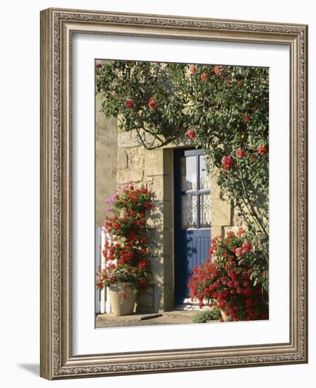 Exterior of a Blue Door Surrounded by Red Flowers, Roses and Geraniums, St. Cado, Brittany, France-Ruth Tomlinson-Framed Photographic Print