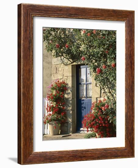 Exterior of a Blue Door Surrounded by Red Flowers, Roses and Geraniums, St. Cado, Brittany, France-Ruth Tomlinson-Framed Photographic Print