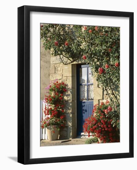 Exterior of a Blue Door Surrounded by Red Flowers, Roses and Geraniums, St. Cado, Brittany, France-Ruth Tomlinson-Framed Photographic Print