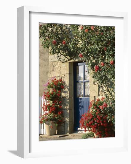 Exterior of a Blue Door Surrounded by Red Flowers, Roses and Geraniums, St. Cado, Brittany, France-Ruth Tomlinson-Framed Photographic Print