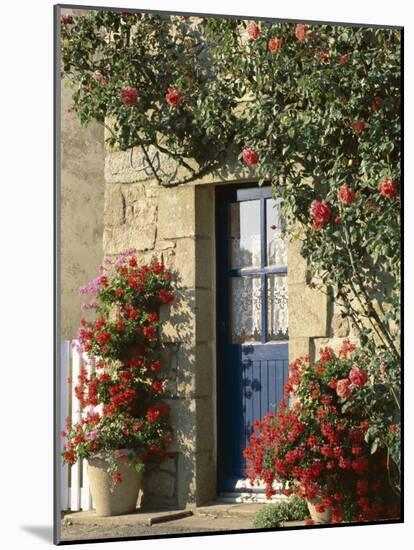 Exterior of a Blue Door Surrounded by Red Flowers, Roses and Geraniums, St. Cado, Brittany, France-Ruth Tomlinson-Mounted Photographic Print
