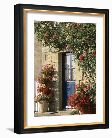 Exterior of a Blue Door Surrounded by Red Flowers, Roses and Geraniums, St. Cado, Brittany, France-Ruth Tomlinson-Framed Photographic Print