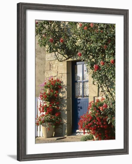 Exterior of a Blue Door Surrounded by Red Flowers, Roses and Geraniums, St. Cado, Brittany, France-Ruth Tomlinson-Framed Photographic Print