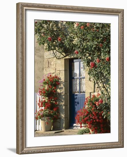 Exterior of a Blue Door Surrounded by Red Flowers, Roses and Geraniums, St. Cado, Brittany, France-Ruth Tomlinson-Framed Photographic Print