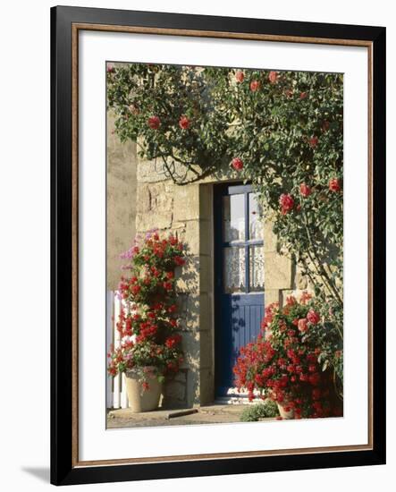 Exterior of a Blue Door Surrounded by Red Flowers, Roses and Geraniums, St. Cado, Brittany, France-Ruth Tomlinson-Framed Photographic Print