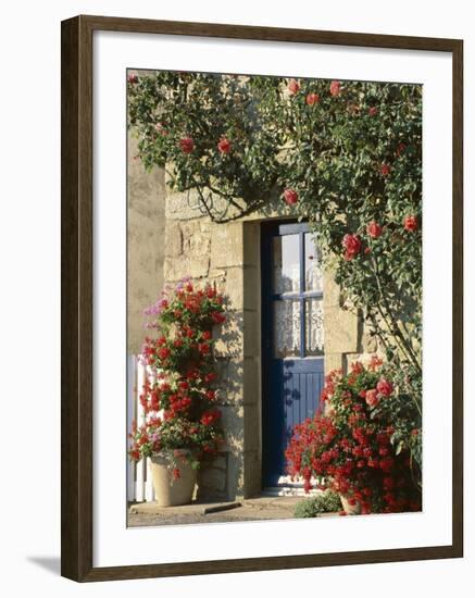 Exterior of a Blue Door Surrounded by Red Flowers, Roses and Geraniums, St. Cado, Brittany, France-Ruth Tomlinson-Framed Photographic Print