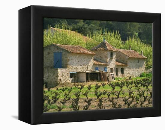 Exterior of a Stone Farmhouse in Vineyard Near Pierrefeu, Var, Provence, France, Europe-Michael Busselle-Framed Premier Image Canvas