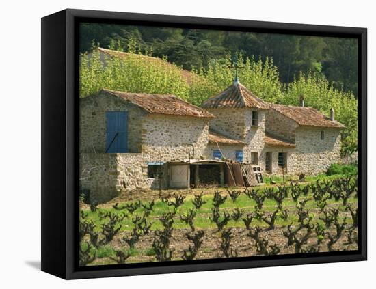 Exterior of a Stone Farmhouse in Vineyard Near Pierrefeu, Var, Provence, France, Europe-Michael Busselle-Framed Premier Image Canvas