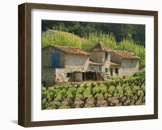 Exterior of a Stone Farmhouse in Vineyard Near Pierrefeu, Var, Provence, France, Europe-Michael Busselle-Framed Photographic Print