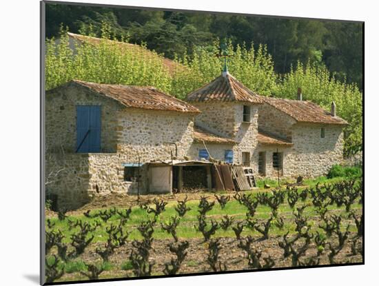 Exterior of a Stone Farmhouse in Vineyard Near Pierrefeu, Var, Provence, France, Europe-Michael Busselle-Mounted Photographic Print
