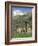 Exterior of Church, Linas De Broto, Pyrenees, Aragon, Spain-Lawrence Graham-Framed Photographic Print