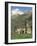 Exterior of Church, Linas De Broto, Pyrenees, Aragon, Spain-Lawrence Graham-Framed Photographic Print